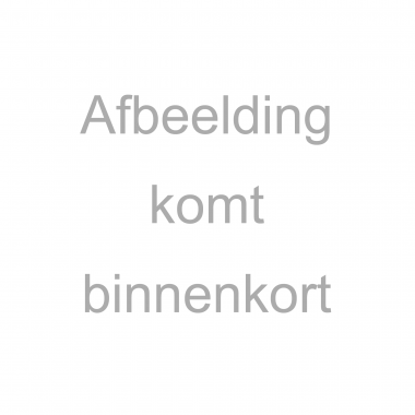 NTW Aluminium Poortpaalset NTW Aluminium Poortpaalset